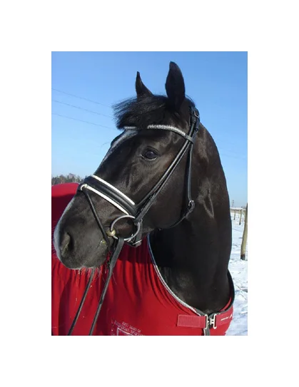 Уздечка с поднятым носовым ремешком, Пряжка из нержавеющей стали, мягкая подкладка из белой коровьей кожи, модные ремешки для бровей