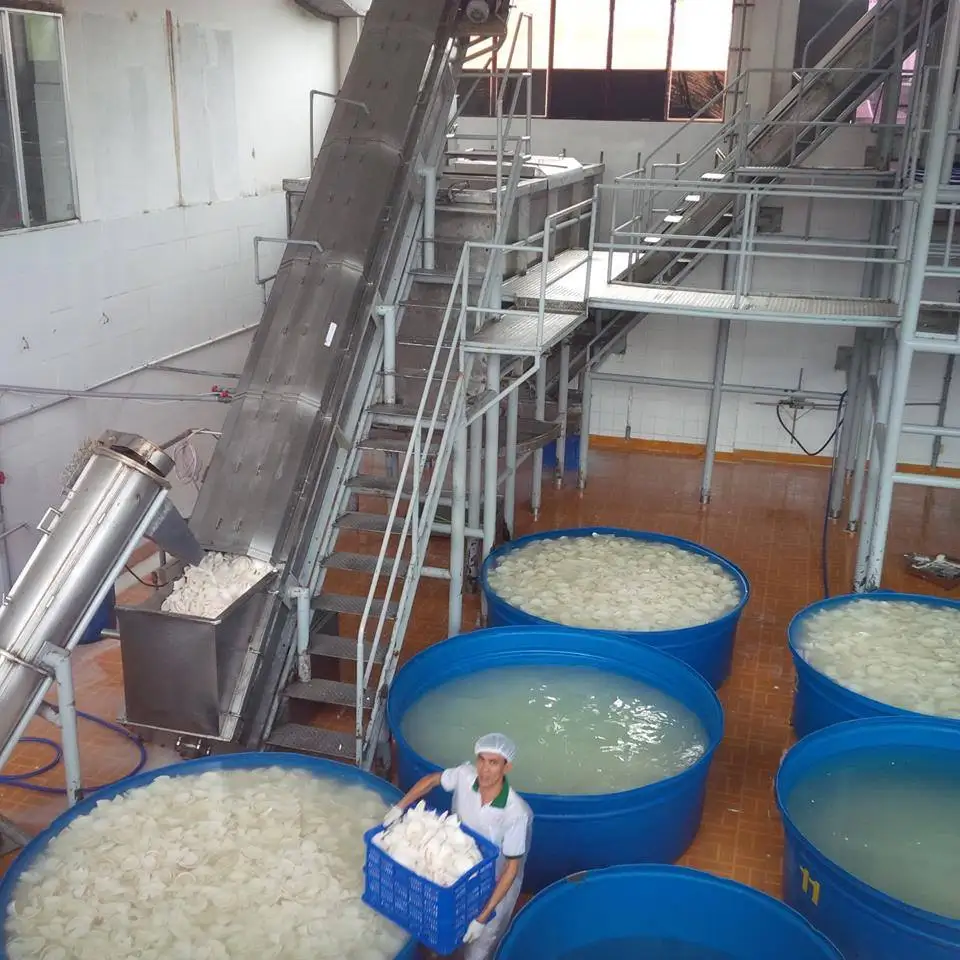 DESICCATED COCONUT POWDER HIGH FAT FINE GRADE 60% BEST OFFER | +84961 358 398 whatsapp