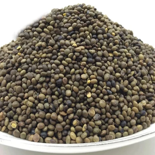 Семена солодки (ураленсис) для продажи