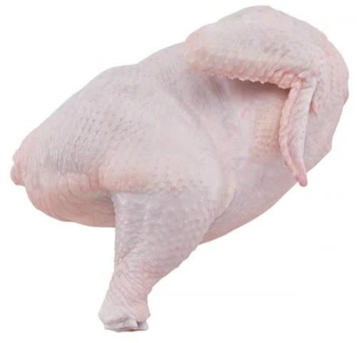 
whole dressed frozen chicken direct Suppliers From Brazil 