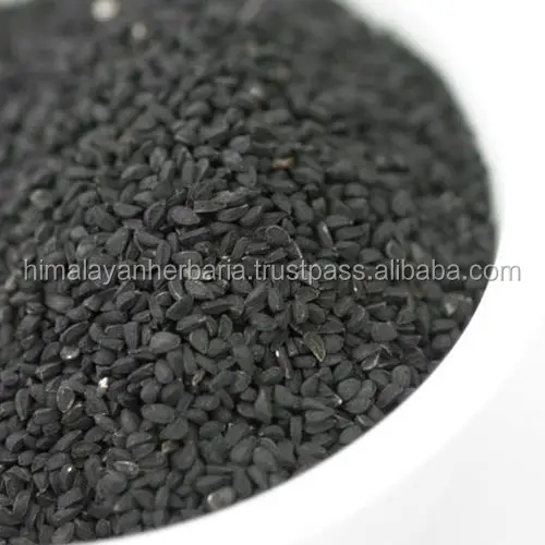 hot sale pure natural nigella sativa seed extract