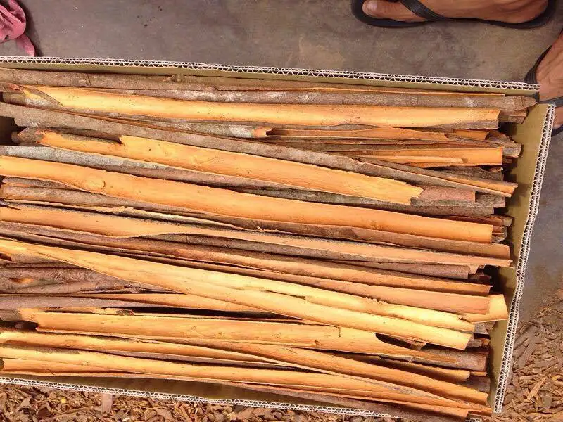 Factory Supply Wholesale Price Split Cassia Cinnamon from Vietnam Top product for Export