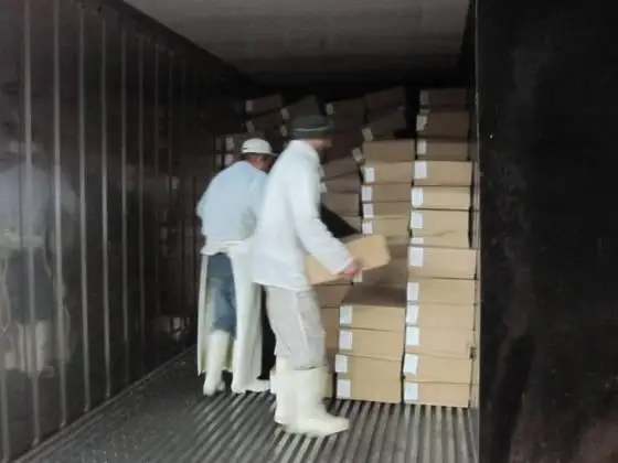 
Whole Chicken, Chicken Wings for sale 