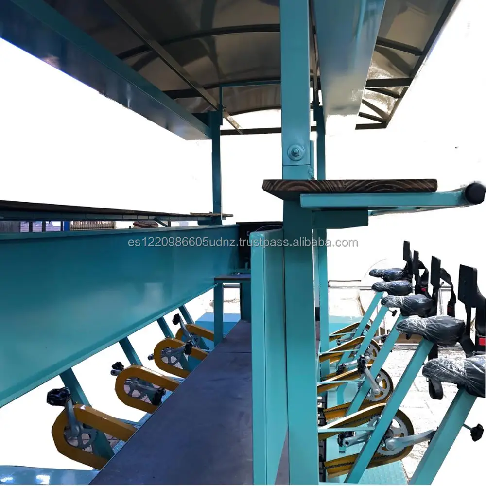 PARTY BIKE,4 WHEELS CYCLE BEER