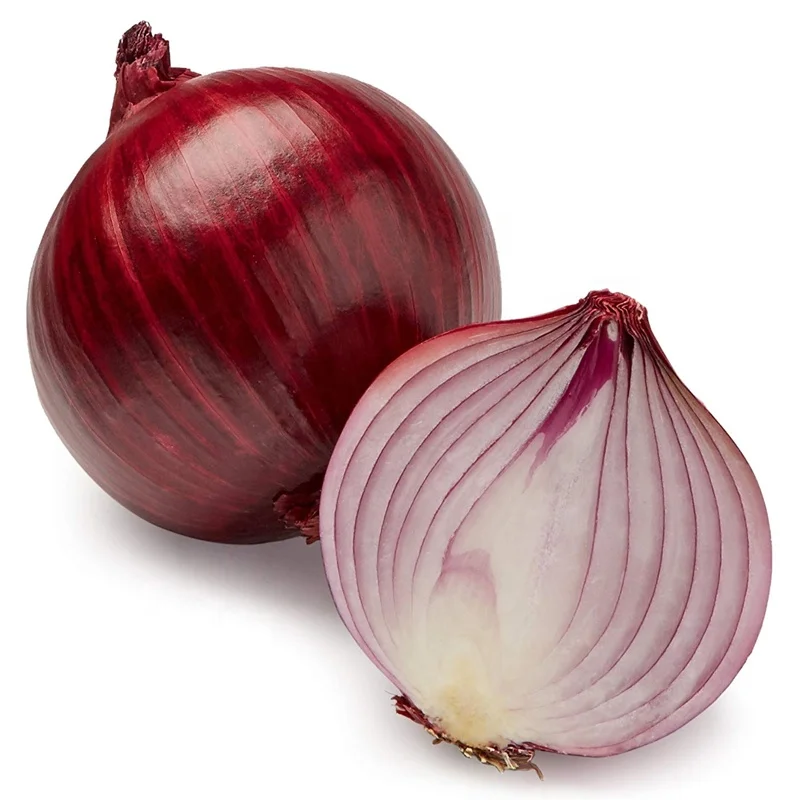 Export Quality Fresh Red Onion