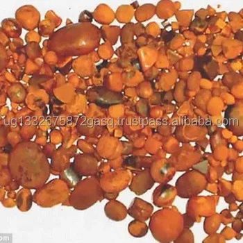 *** Лучшее лекарство для трав натуральные желчные камни коровы Безоар Окс