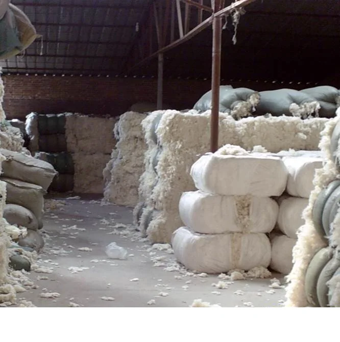 Natural  Cashmere Sheep Wool
