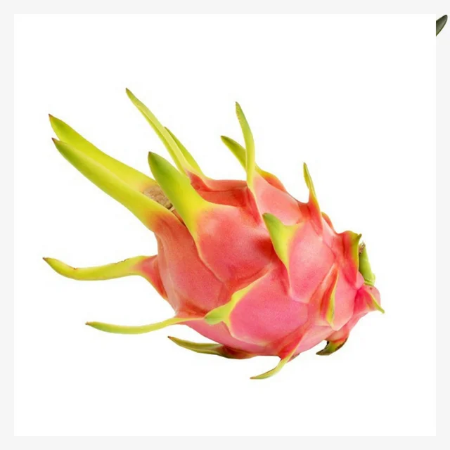 
Vietnamese red/white flesh fresh dragon fruit for sale with cheap price 