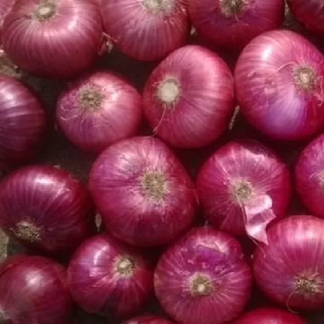 Indian High Quality Premium New Crop Fresh Red Onions for Sale Mumbai 10 kg /20 kg Nasik at Best Price
