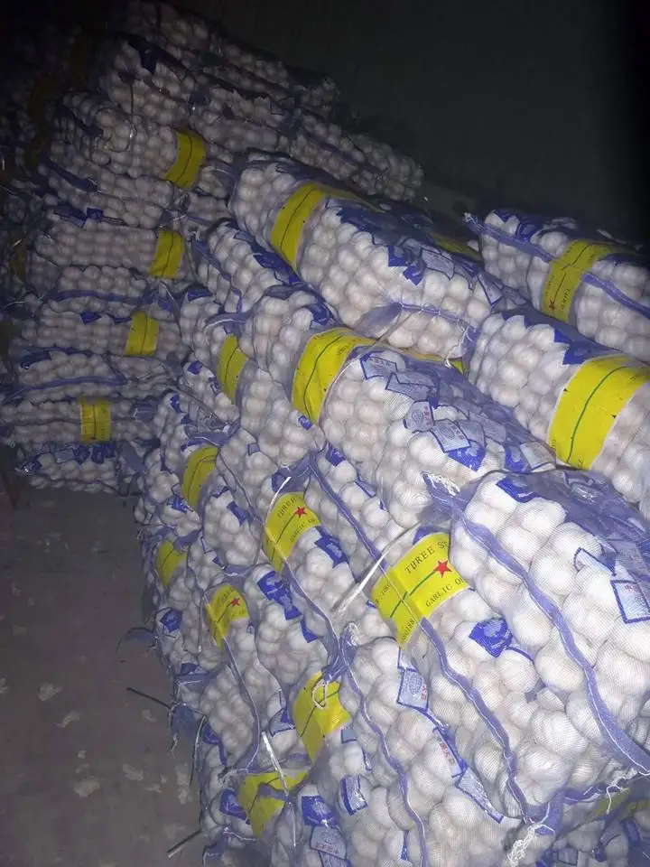 Fresh Garlic  Fresh Natural Garlic New crop Hot sales