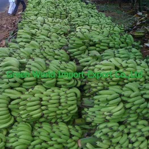 BEST SELLER_CAVENDISH BANANA, PREMIUM QUALITY WITH GOOD PRICE