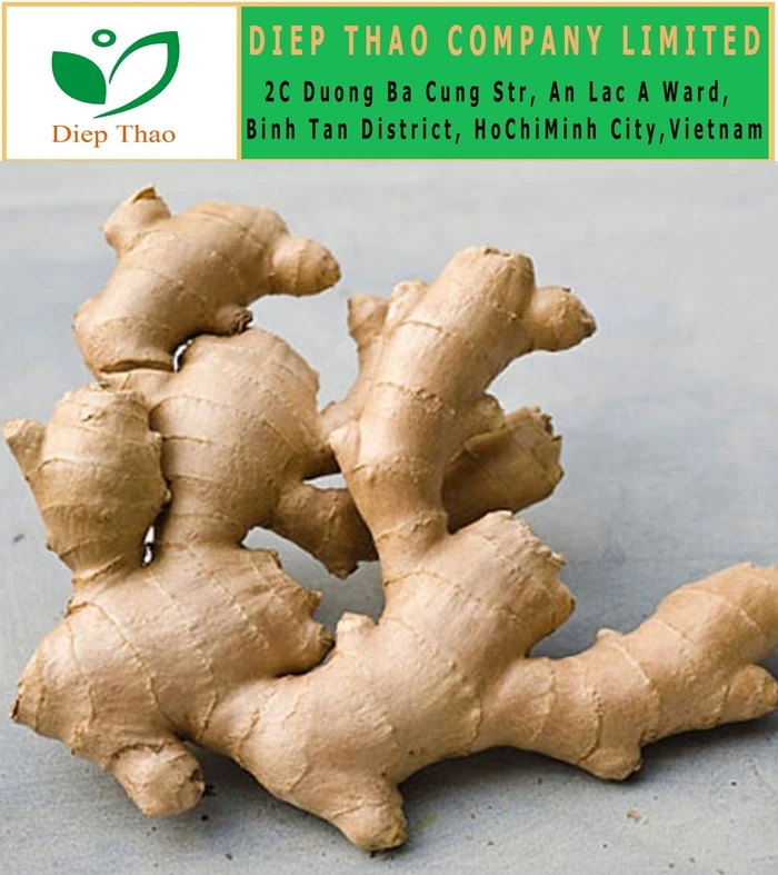 The supplier ginger from Vietnam ginger powder/ dried slices ginger/ fresh ginger