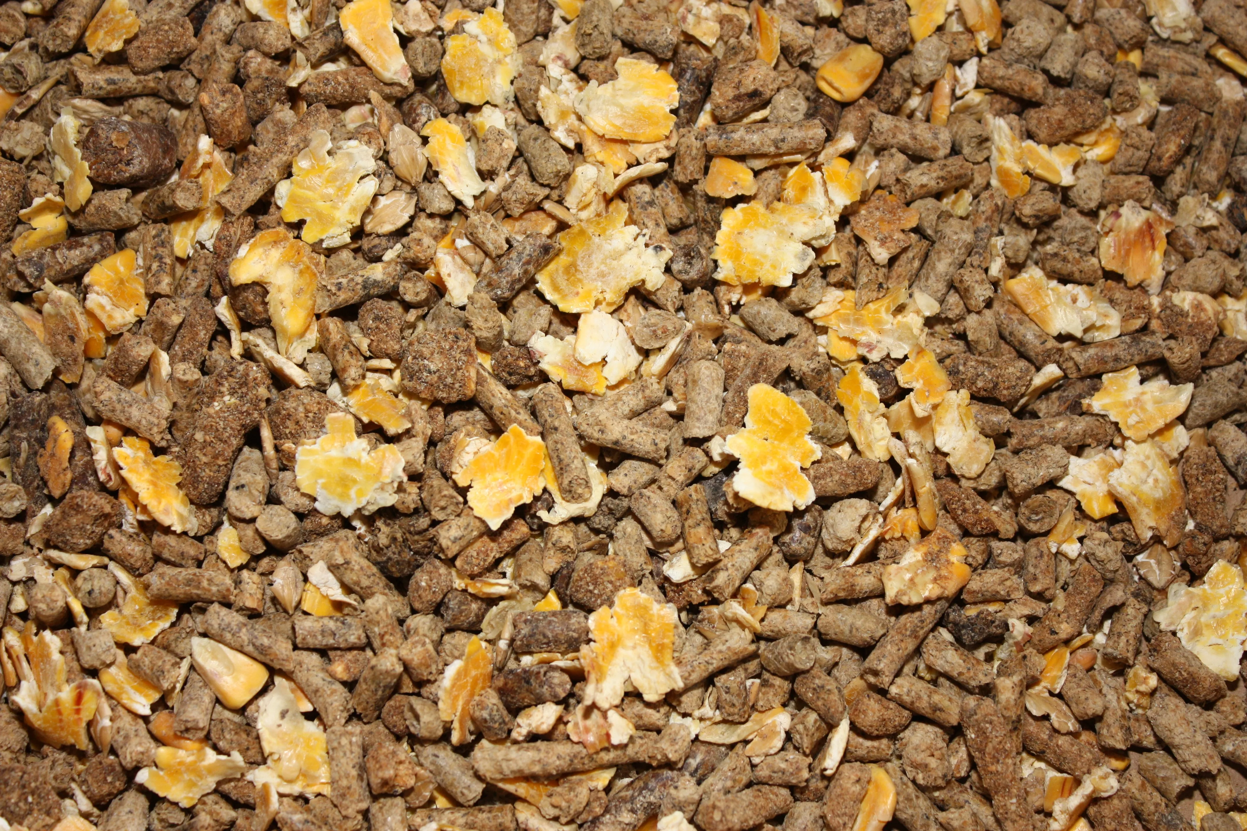 Calf Grower Feed