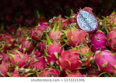 DRAGON FRUIT - VIETNAM DRAGON FRUIT -  FRESH WHITE DRAGON FRUIT - WHATSAPP+84-845-639-639