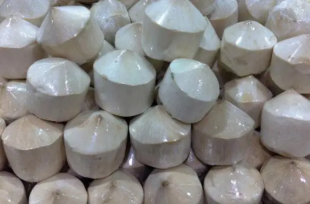 Coconut Fresh 2020  in VietNam