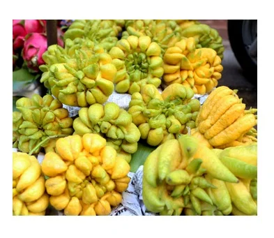 Thousand Hand Buddha  - Finger Citron - Worship fruits -  from Vietnam / Amber +84925369653 whatsapp/mobile