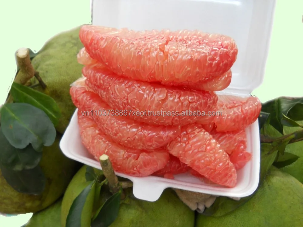 Good quality best price Vietnamese pomelo grapefruit 2021