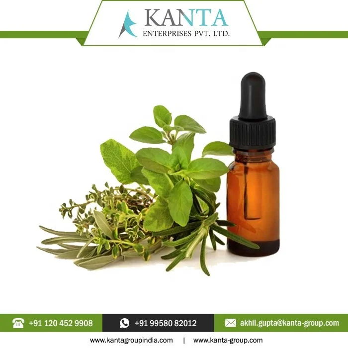 100% Natural Antioxidant Antifungal and Anti-inflammatory properties Oregano Essential Oil Wholesale Price