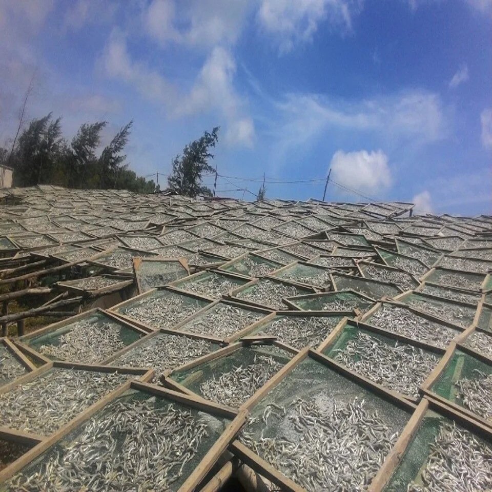 
GOOD QUALITY DRIED SPRATS/ANCHOVY BY SUN 