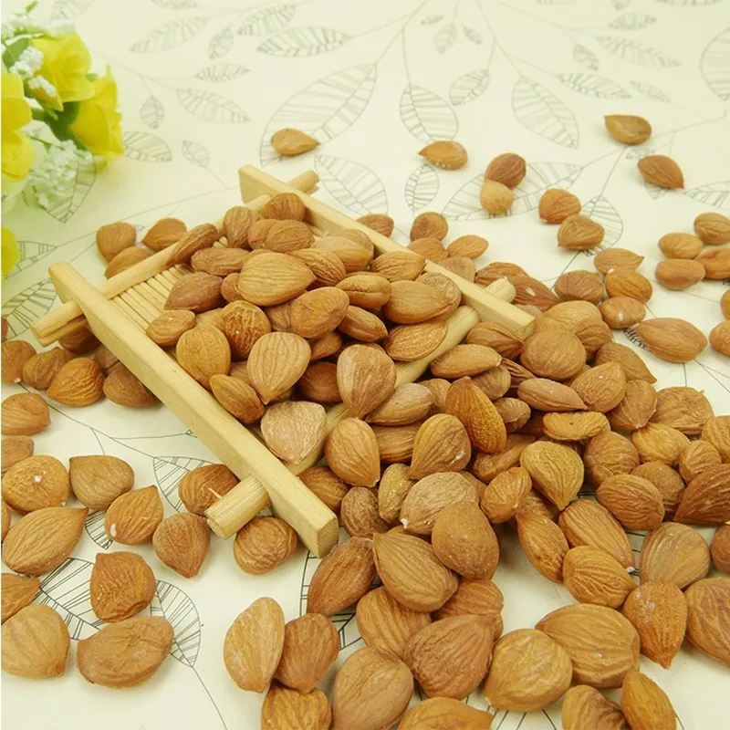 
Wholesale raw bitter sweet badam almonds nuts apricot kernels price 