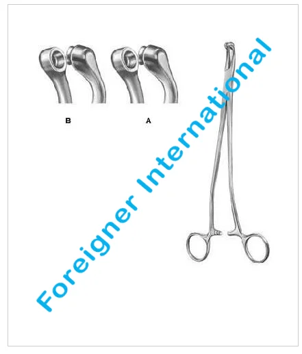 Stainless Steel Single use Oral Biopsy Forceps high quality