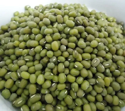 GMO Quality Green Mung Beans/Frozen Green Mung Beans/Vigna Beans