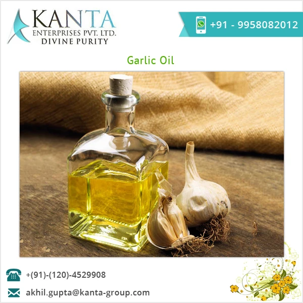 100% Pure and Organic Garlic Essential Oil Helps to Treat Fungal Infection Available Bulk Wholesale Price