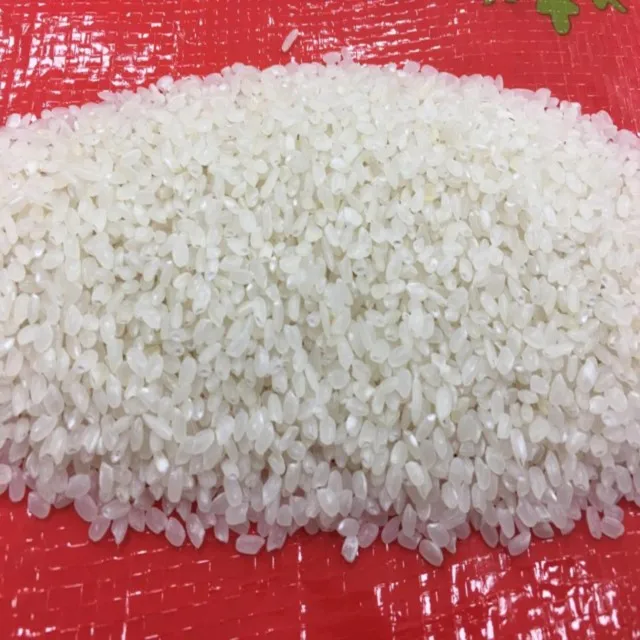 VIETNAM 5% BROKEN CALROSE RICE AT LOWEST PRICE