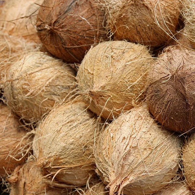 Весь целлюлозы, полу очищены кокосы