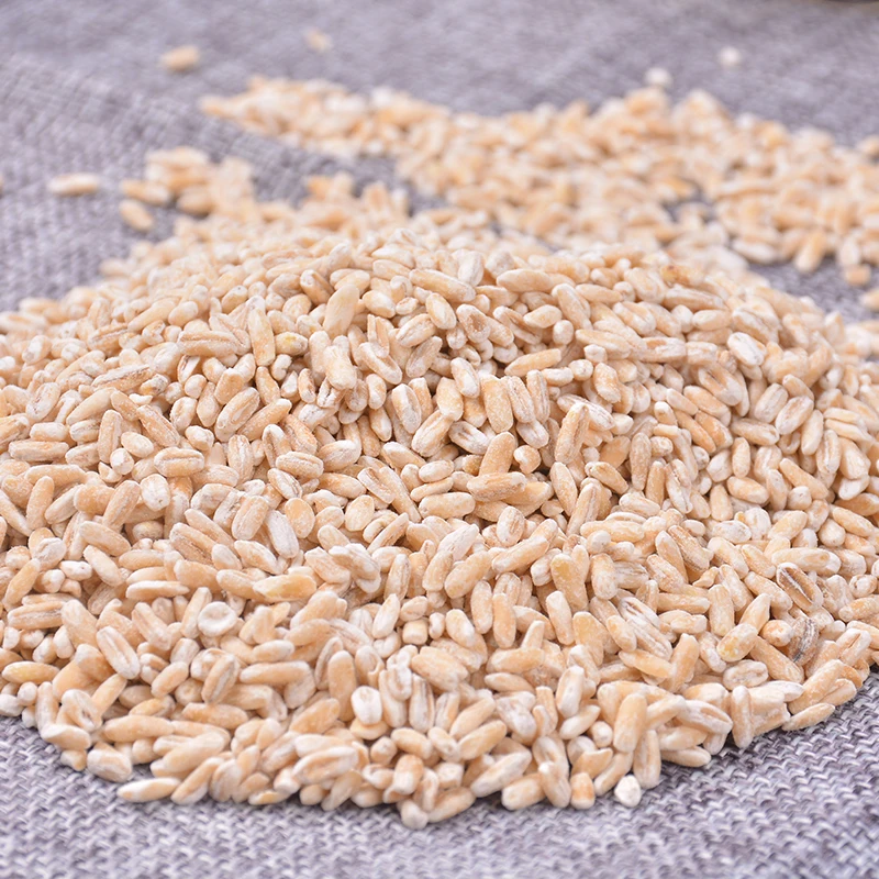 
Canadian Oat Rice in Bags 400g / 454g / 1kg / 25kg 