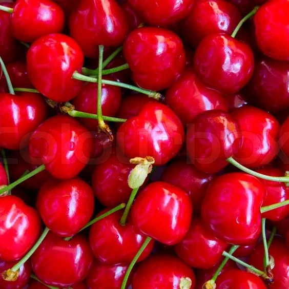 Свежие темно-красные вишни на продажу