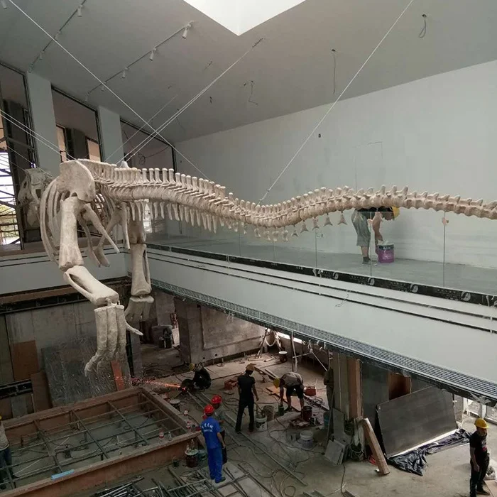 Simulation authentic dinosaur fossils for sale