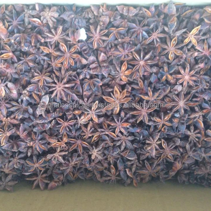 SPICY AND HIGH QUALITY STAR ANISE VIETNAM