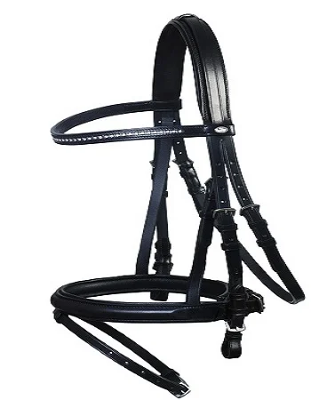horse riding equipment/horse bridle