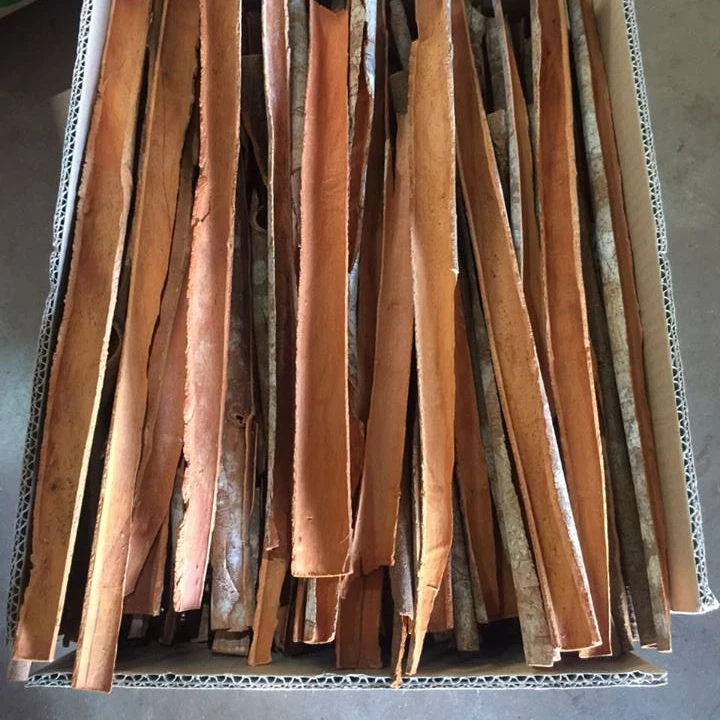 HIGH QUALITY CASSIA / CINNAMON from Vietnam +84984418844 whatsapp