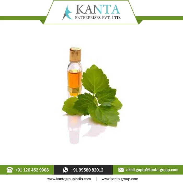 Private Label OEM / ODM Supply Organic and Natural Patchouli Essential Oil for Skin Care at Cheap Rates