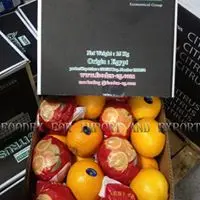 Свежий Египетский оранжевый/оранжевый пупок экспортного качества/качественный оранжевый для продажи
