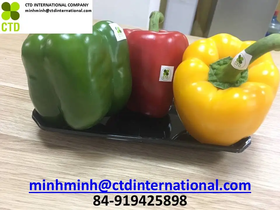 
Vietnam fresh green capsicum 