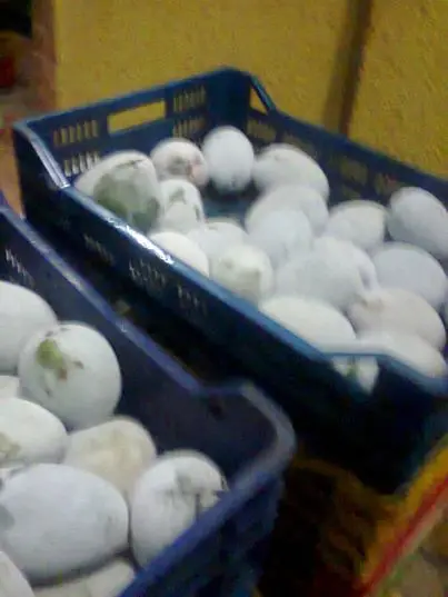 
egyptian frozen mango 