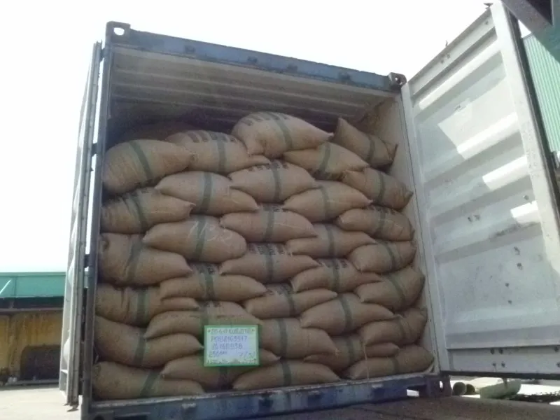 Вьетнамские мокрые полированные кофе в зернах ROBUSTA SCR #16