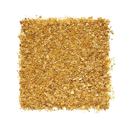 corn gluten feed