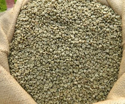 Coffee Beans with high quality (whatsapp (+84).983590908/mobi