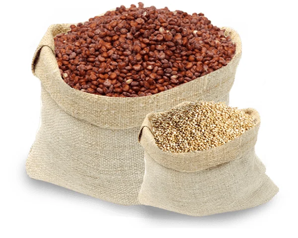 Bulk Supplier of Quinoa Fruit From India