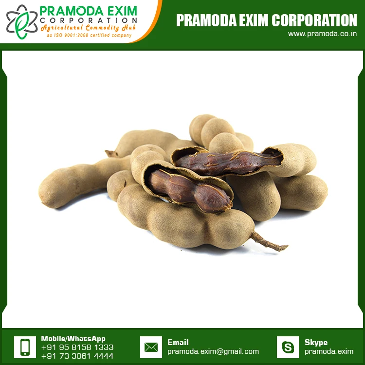 New Crop Organic Tamarind Fresh