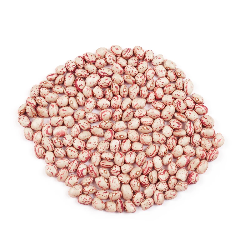 
Round Shape Light Speckled Kidney Bean 