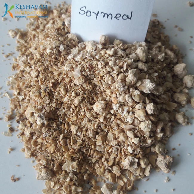 Cattle Organic Soybean Meal/ Soybean Meal Poultry Feed from India