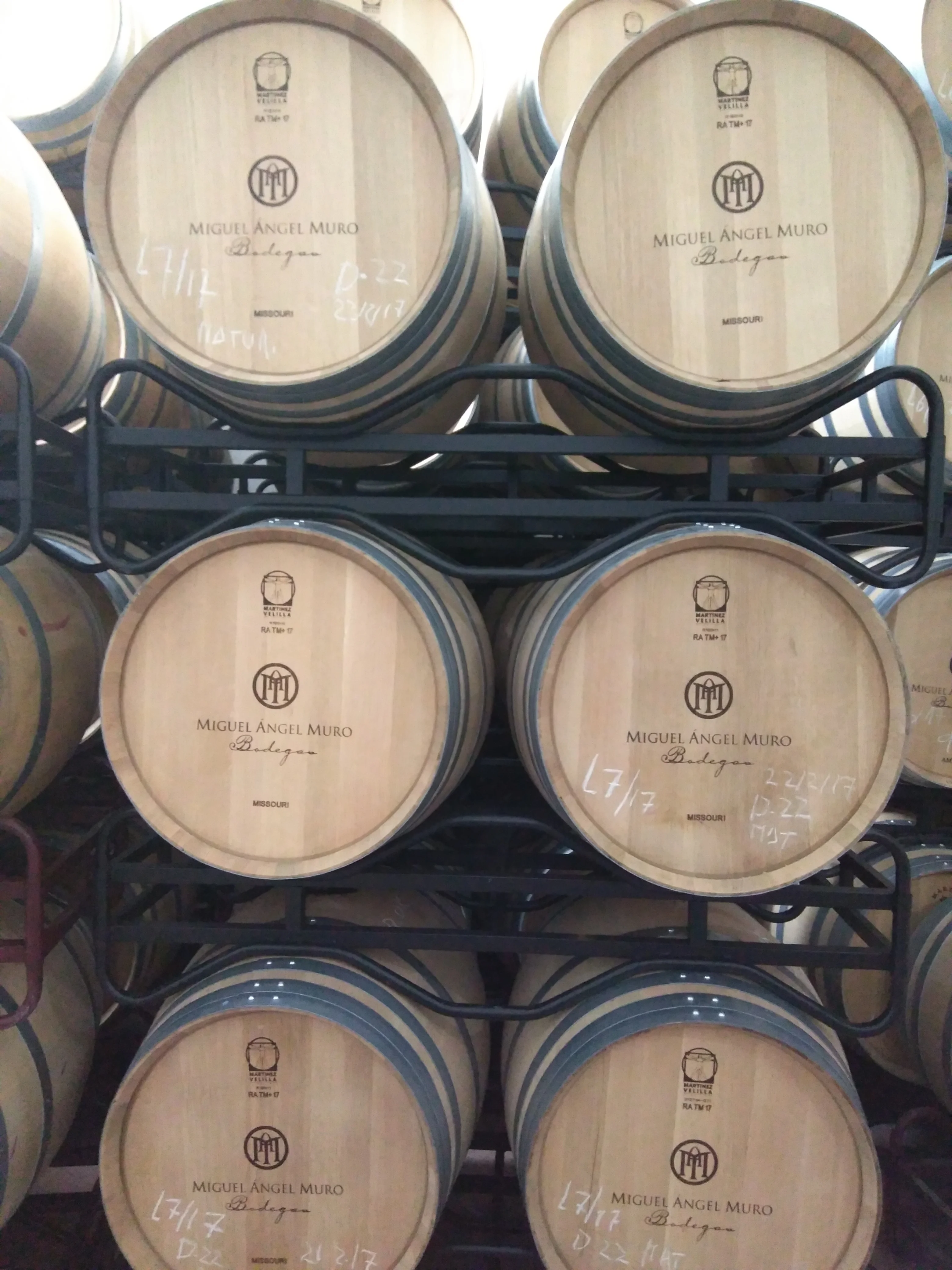 Spanish Doc Rioja Crianza hight quality wine Amenital