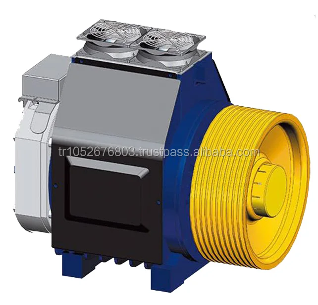 Lift Door MECHANISM Elevator Parts Glass Lifts Big Load Lifts Whole Kind Lifts 2 Years Vital VTO Tr;trprovince20100955