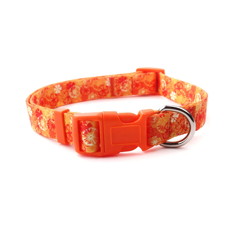 Sales Promotion Bamboo Dog Slave Training Collar And Leash Small Size