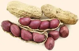 
Groundnut 